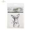 zwierzęta, okulary, szkic, portrety, czarno-białe, ołówek, minimalizm, chihuahua, zając, papuga, kameleon, kot, chomik, line art*animals, glasses, sketch, portraits, black and white, pencil, minimalism, chihuahua, hare, parrot, chameleon, cat, hamster, li